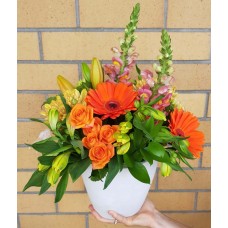 Bright Eco Pot